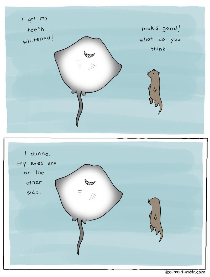 Illustration for article titled Here, Have Some Adorable Animal Humor